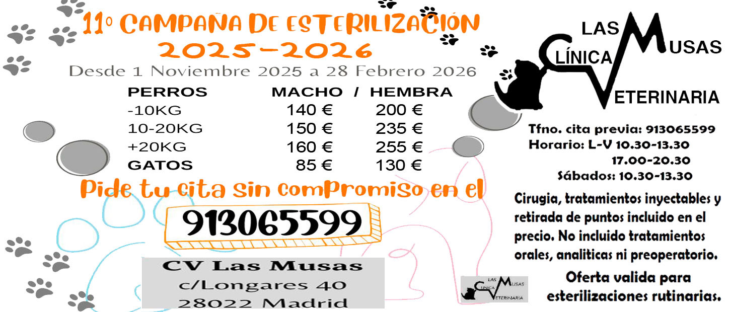 campaña esterilizacion Las Musas campaña esterilizacion Las Musas