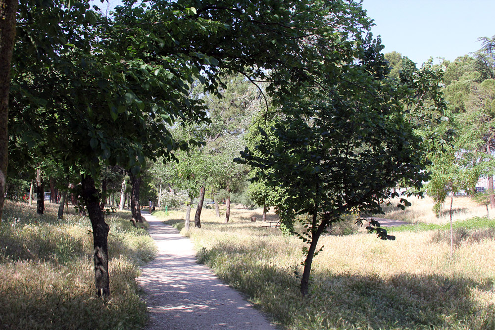 Parque del Arroyo de la Reja