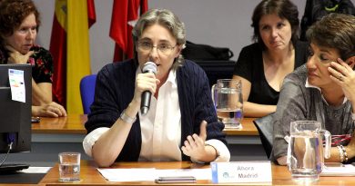 Marta Higueras, Pleno Octubre