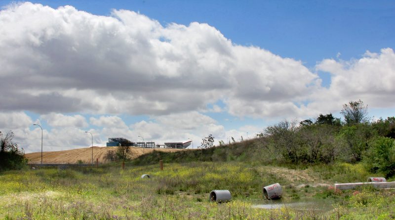 Los ecologistas piden salvar el parque de Carlos Llamas