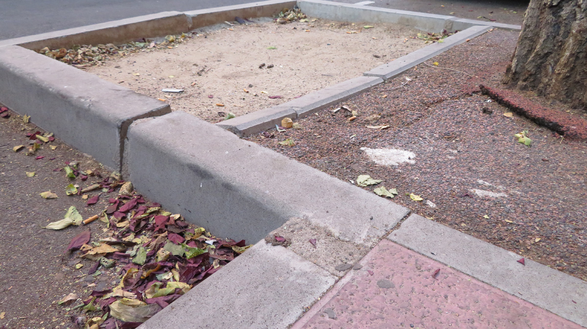 El Ayuntamiento pavimentará alcorques vacíos en aceras para mejorar la circulación peatonal