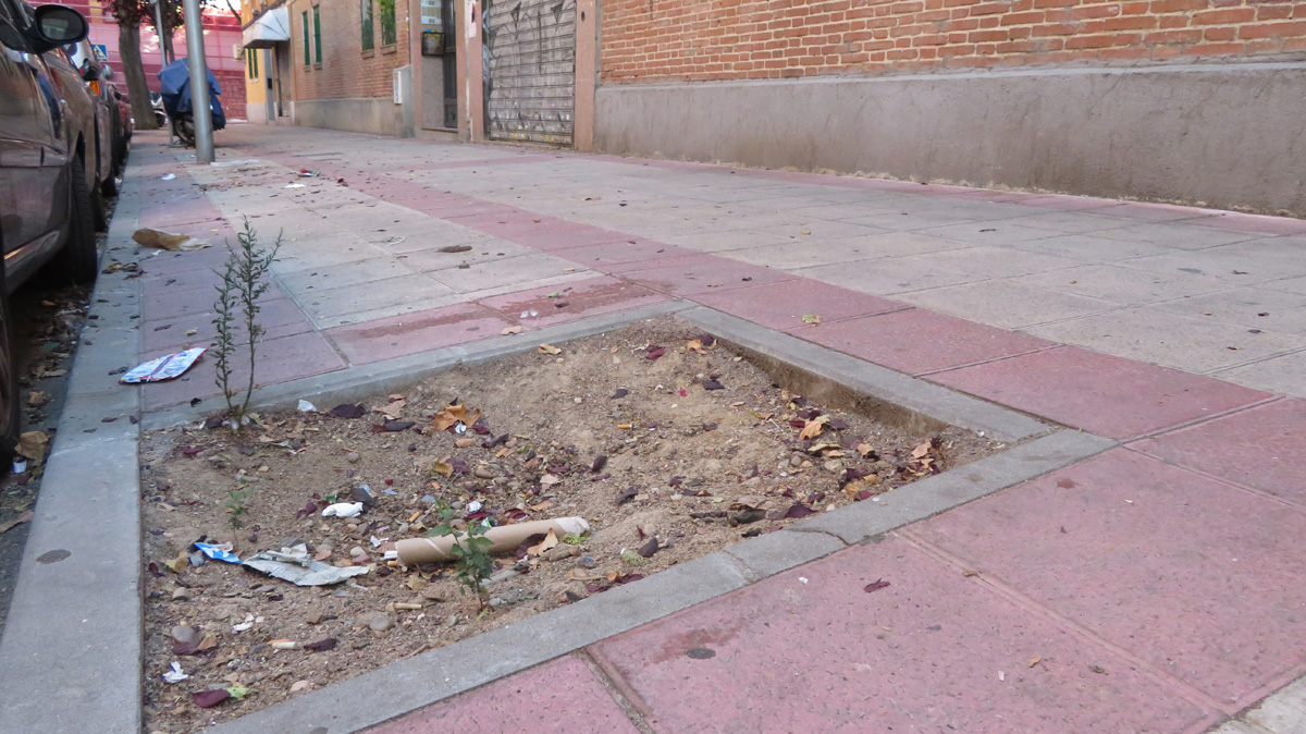 El Ayuntamiento pavimentará alcorques vacíos en aceras para mejorar la circulación peatonal