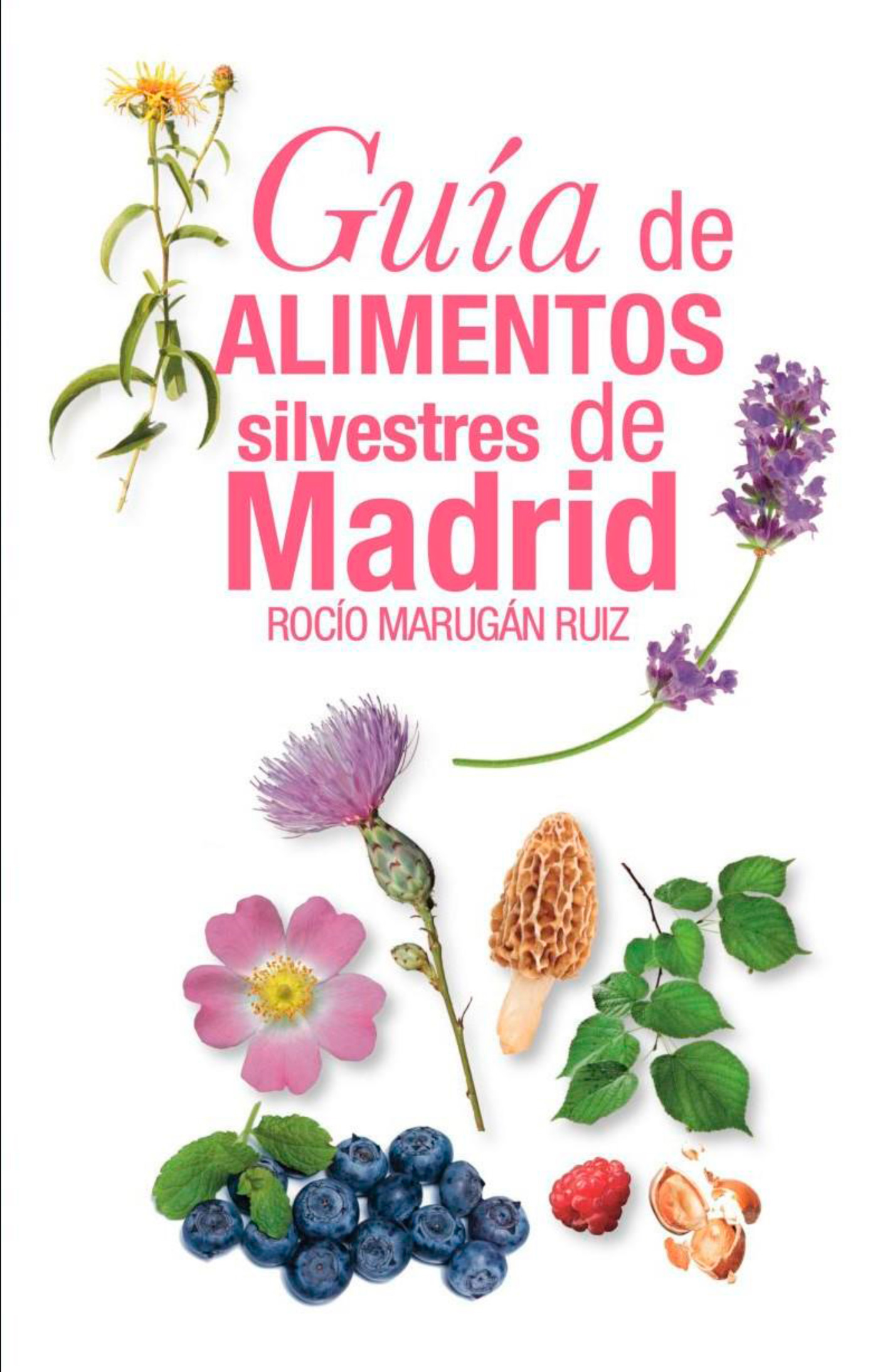 Libros OK ALIMENTOS SILVESTRES MADRID