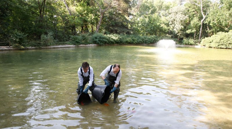 Nuevas especies para el estanque de la Quinta de los Molinos