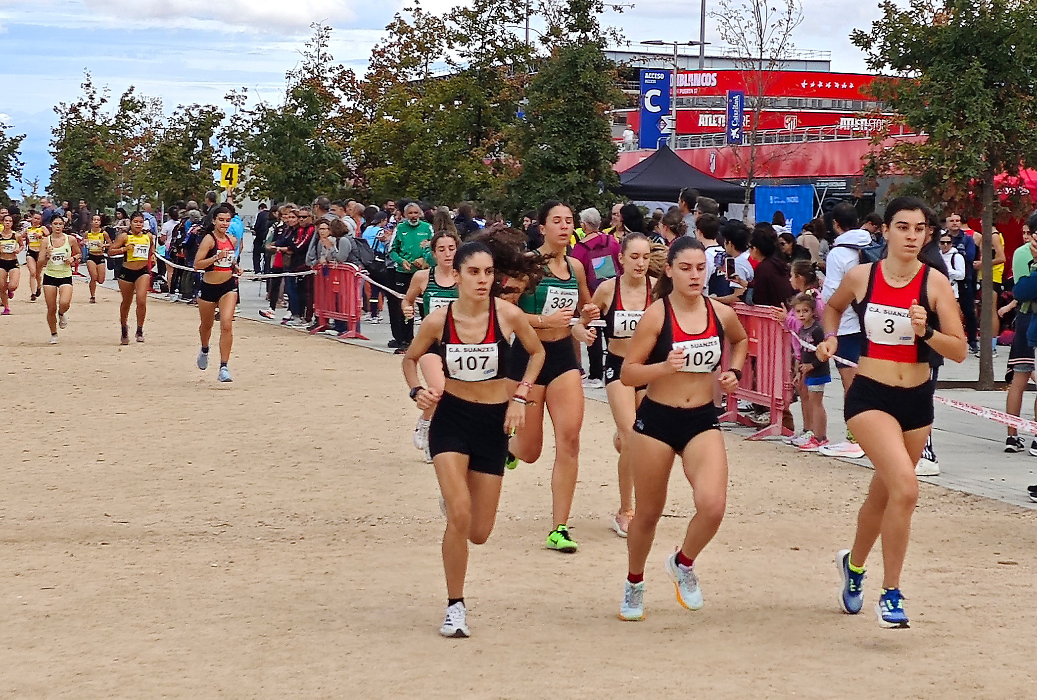 Cross Suanzes edicicion dosmil veinticinco Cross Suanzes edicicion dosmil veinticinco