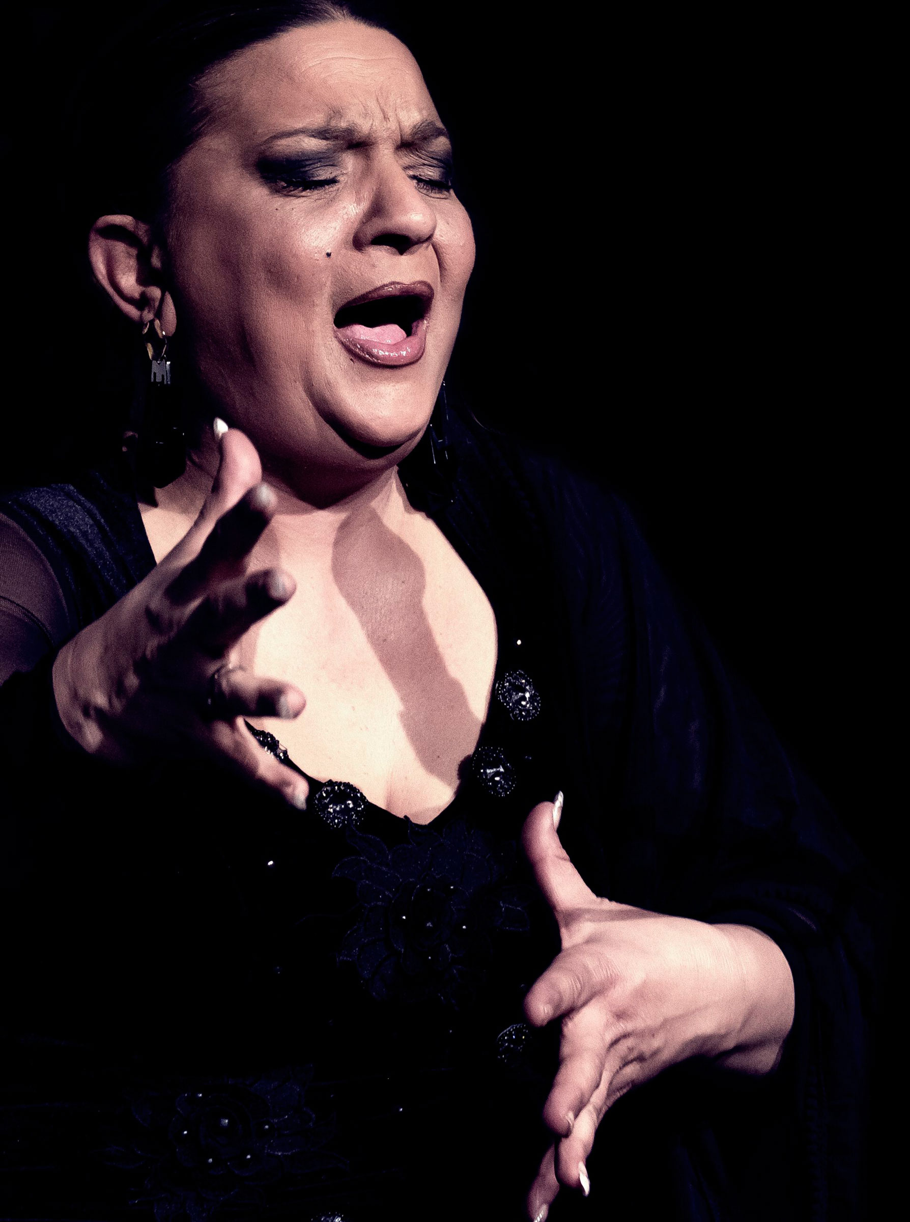 V Festival de Raiz Flamenca la tana V Festival de Raiz Flamenca la tana