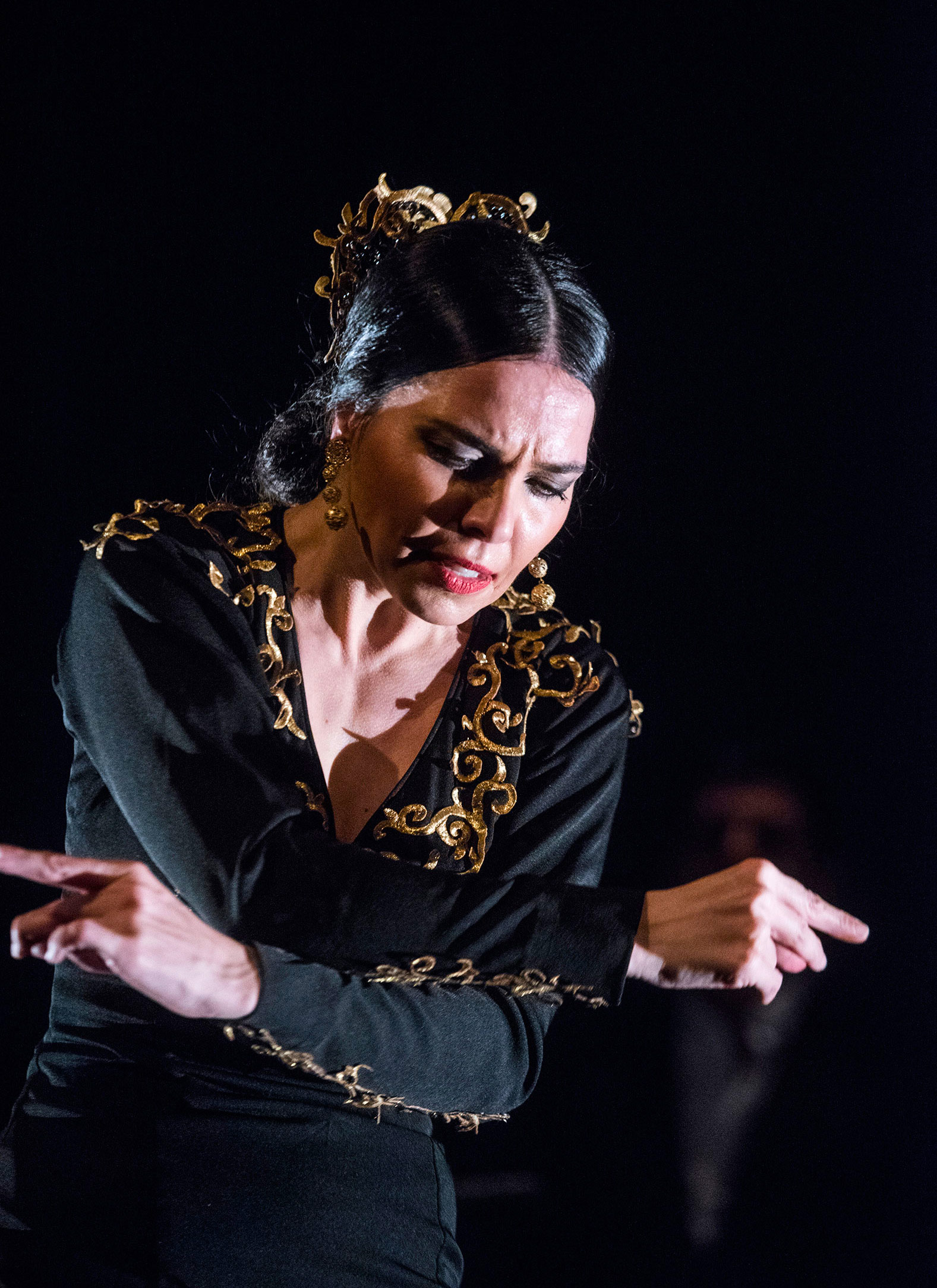 V Festival de Raiz Flamenca V Festival de Raiz Flamenca