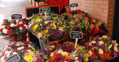 Natural Bouquets, una floristería como las de Holanda