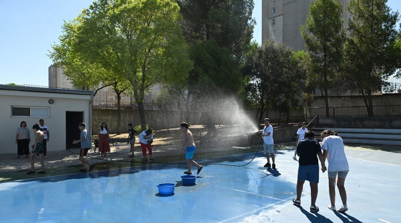 Actividad para los participantes
