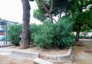 Parque Canillejas x