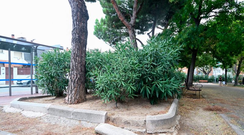 Parque Canillejas x